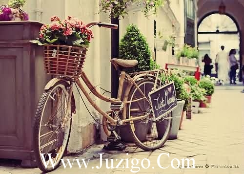 人生总有不如意,但仍要笑着活下去,因为你被需要着