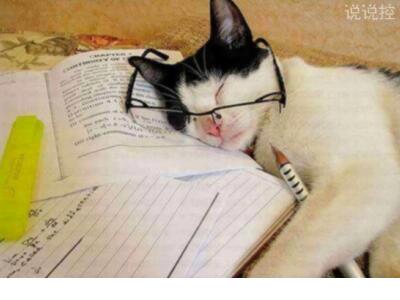 关于三国演义人物的歇后语