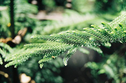 朋友圈神评论搞笑回复 朋友圈万能神评论段子(38句)