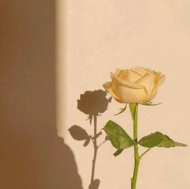 能吸引人的文案(发一条一秒吸引朋友圈的文案)