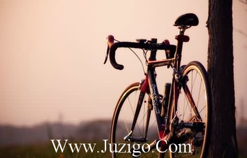 感谢老板的话82句