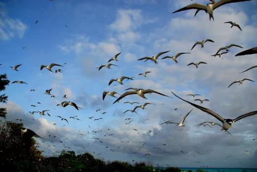 护士在护士节发的朋友圈
