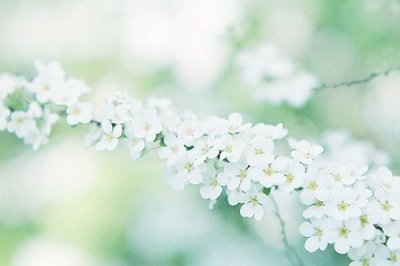 ​关心帮助人的谚语62句