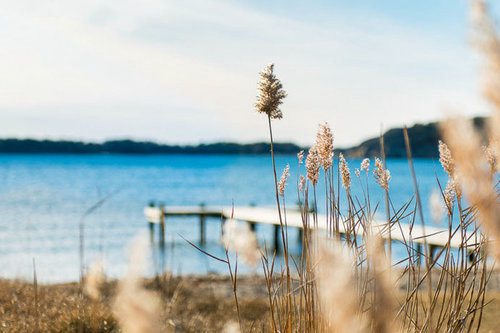 排比句片段35句