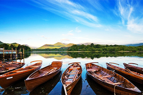 鸟儿叫拟人句25句