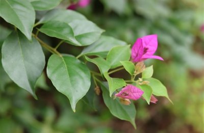 ​看起来有病的情侣网名