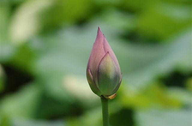 五个字好听的游戏名