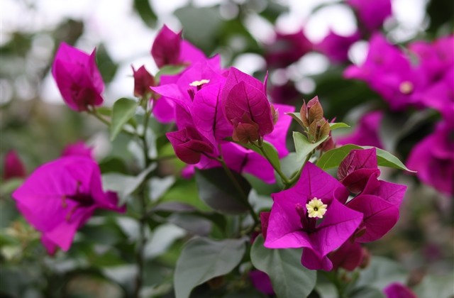 甜蜜情侣网名一男一女 甜蜜情侣网名一男一女