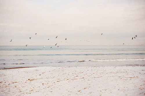 关于竹的谚语15句