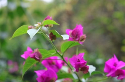 ​使命召唤好听的游戏名字男