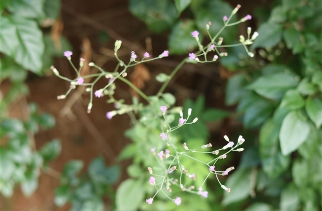 使命召唤好听的游戏名字男