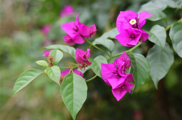 适合女生的qq网名(333个) 适合女生的qq网名(333个)