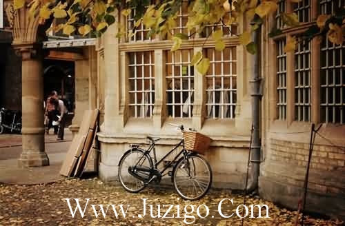 描写元宵节的古诗句小学描写元宵节的古诗(精选20句)