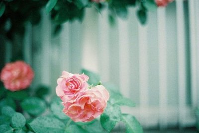 ​骂老师的话不带脏字42句