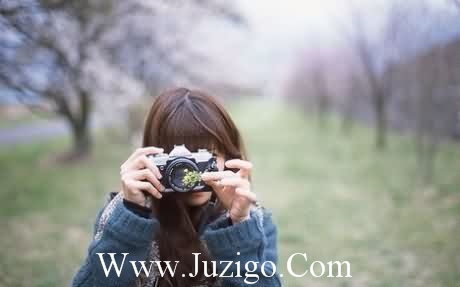 蒲公英拟人句12句