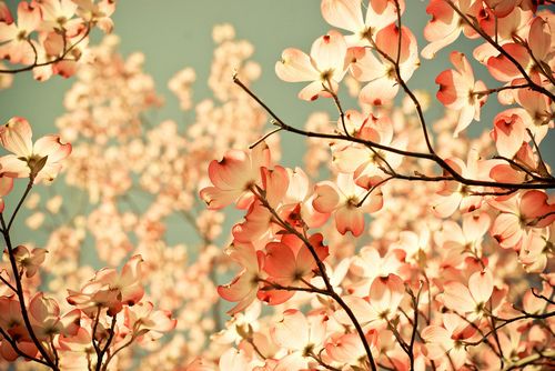 写给女人的忠告56句