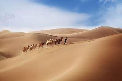 ​歇后语放了11句