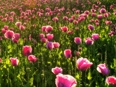 ​五字情侣网名大全