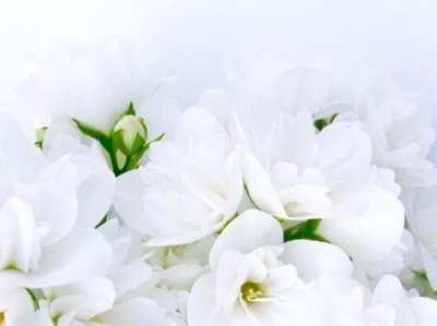 ​爱你老公句子，愿你来世拥有一个爱你入骨的老公