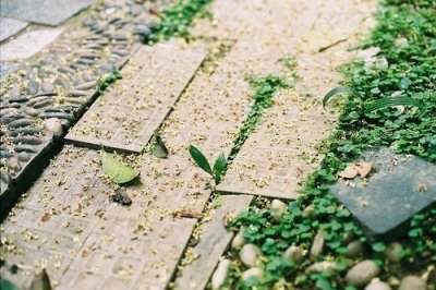 ​秦始皇修长城歇后语31句