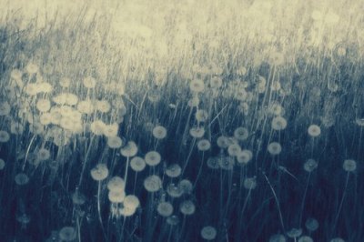 ​哲理名言励志87句