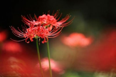 ​睡觉朋友圈说说搞笑