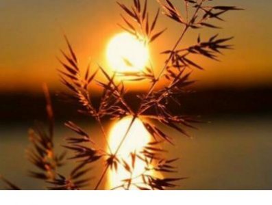 ​8字唯美励志签名 签名说说励志简短