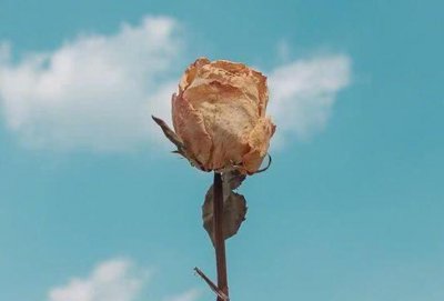 ​清晨励志短句