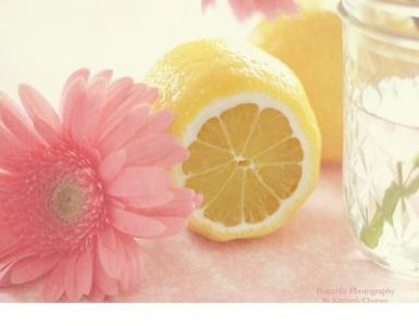 ​2024为抗击疫情加油的句子