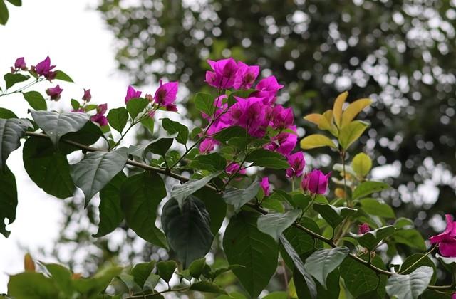 高考简单真诚祝福语（80句）