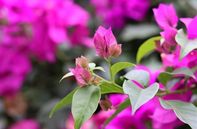 高考简单真诚祝福语（80句）