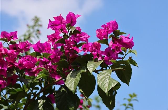 惊蛰节气心情说说