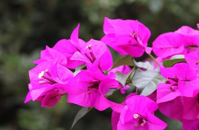 微博养号每日一善文案(汇总93句)