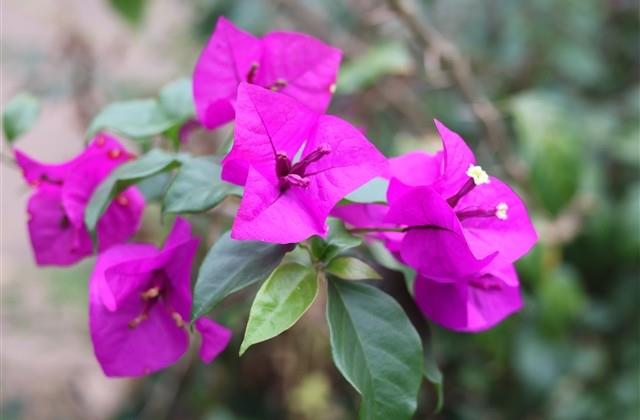 早安暖心语适合发朋友圈(精选62句) 早安暖心语适合发朋友圈(精选62句)