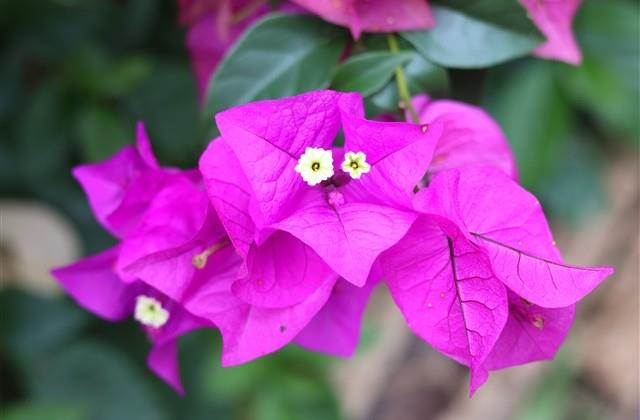 发朋友圈的精美句子 发朋友圈的精美句子