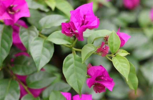 即将毕业说说文案 即将毕业说说文案