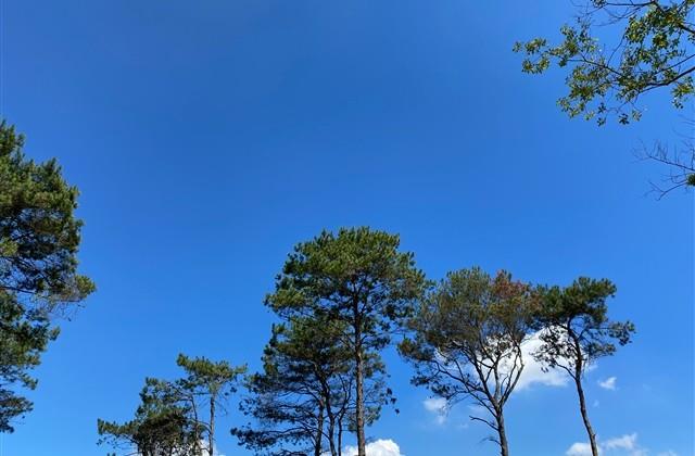 怀念爱情公寓的句子说说(推荐51句) 怀念爱情公寓的句子说说(推荐51句)