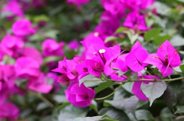 顺口的六个字网名 顺口的六个字网名