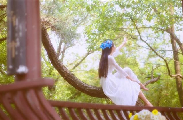 QQ一个字网名(精选284个)