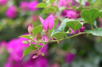 ​王者荣耀名字大全男生高冷(精选176个)