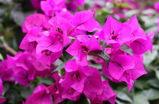 梦幻西游游戏名字(精选149个)