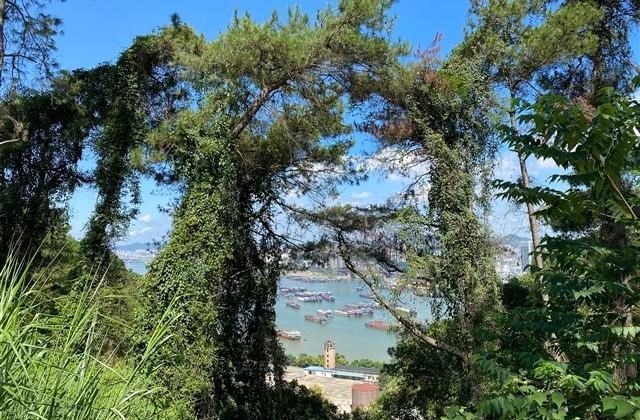 女生带符号网名大全(优选119个) 女生带符号网名大全(优选119个)