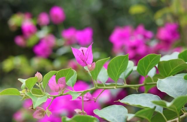 冬天生的女孩取名比较好听的名字（571个）