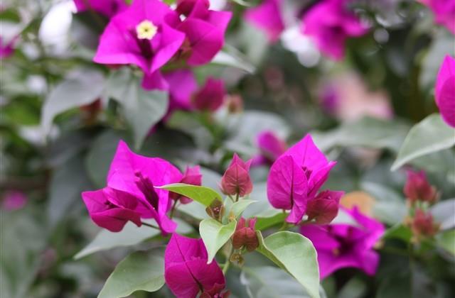 冬天生的女孩取名比较好听的名字（571个）