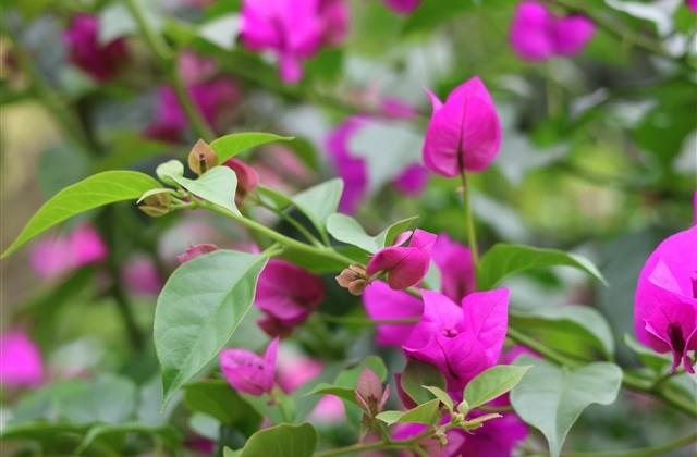 带符号的情侣网名可复制 带符号的情侣网名可复制