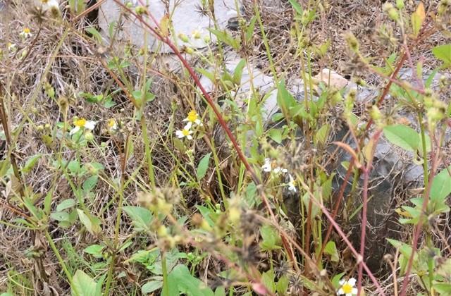 带瑶字的微信昵称 带瑶字的微信昵称