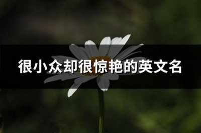 ​很小众却很惊艳的英文名(共133个)