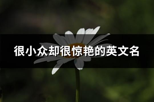 很小众却很惊艳的英文名(共133个)