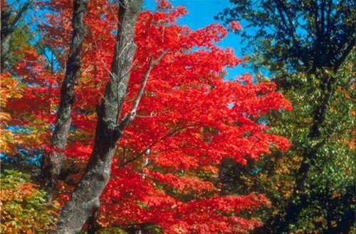 经典的哲理句子摘抄