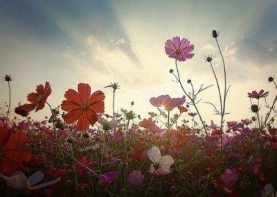 ​书店名字,大气的书店名字387个